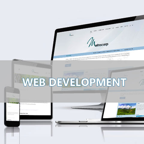 selikta-web-design-development