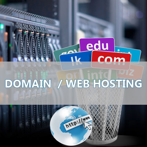 selikta-web-hosting-domain-registration